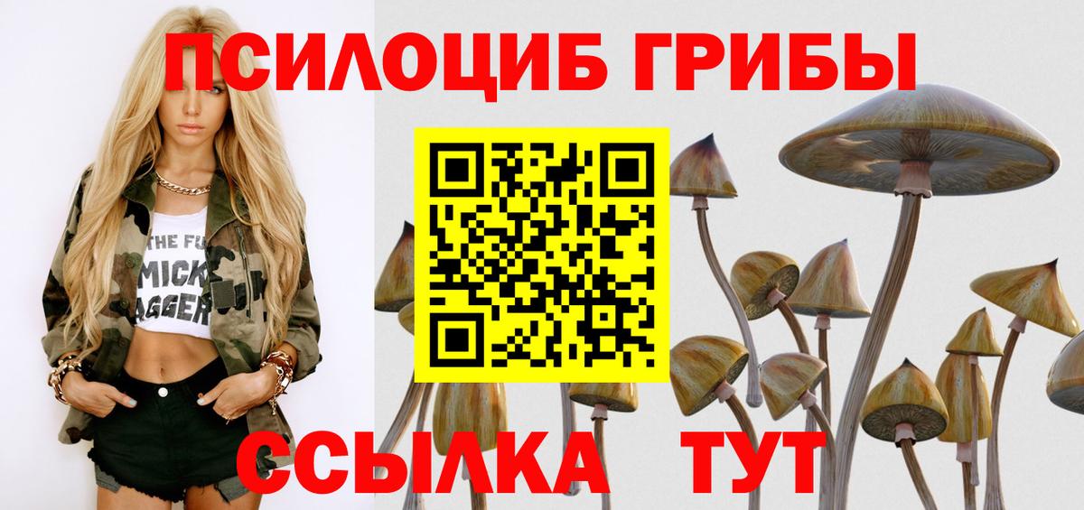 Галлюциногенные грибы Magic Shrooms  купить наркоту  Заводоуковск  Вход с VPN  Галлюциногенные грибы Magic Shrooms 